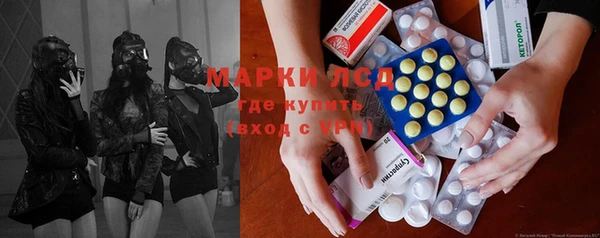 прущие грибы Апатиты