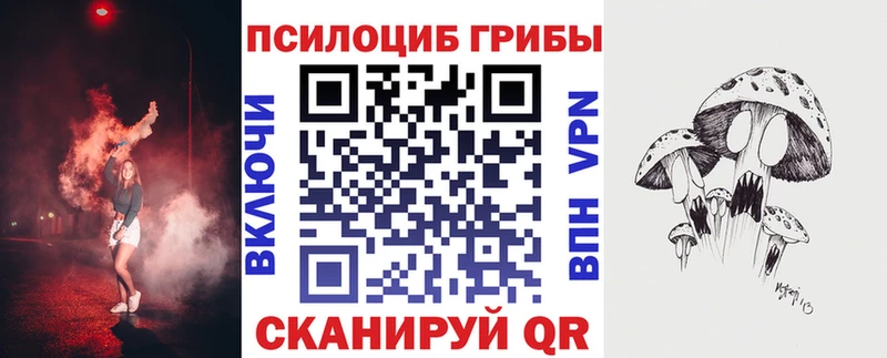 mega вход  Копейск  Галлюциногенные грибы Psilocybine cubensis 