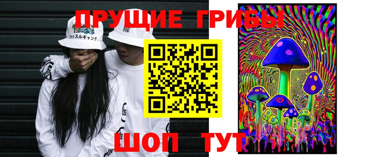 Псилоцибиновые грибы GOLDEN TEACHER Копейск