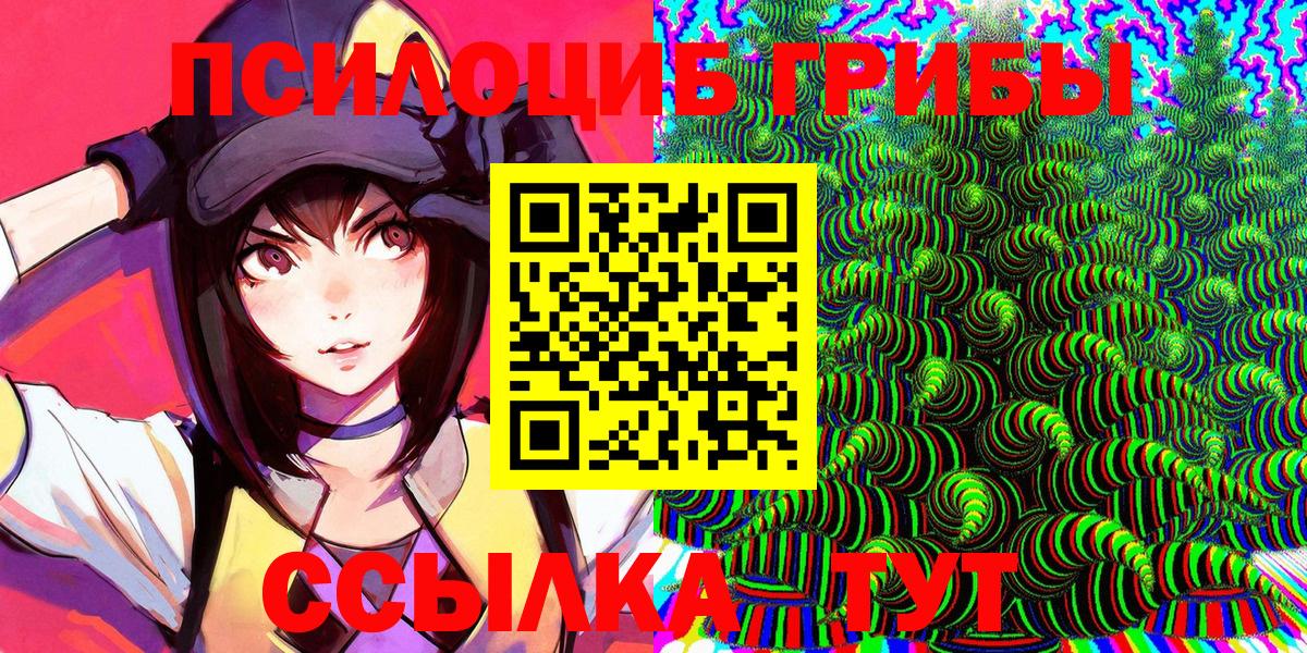 Псилоцибиновые грибы Psilocybine cubensis  Копейск  Псилоцибиновые грибы Psilocybe 