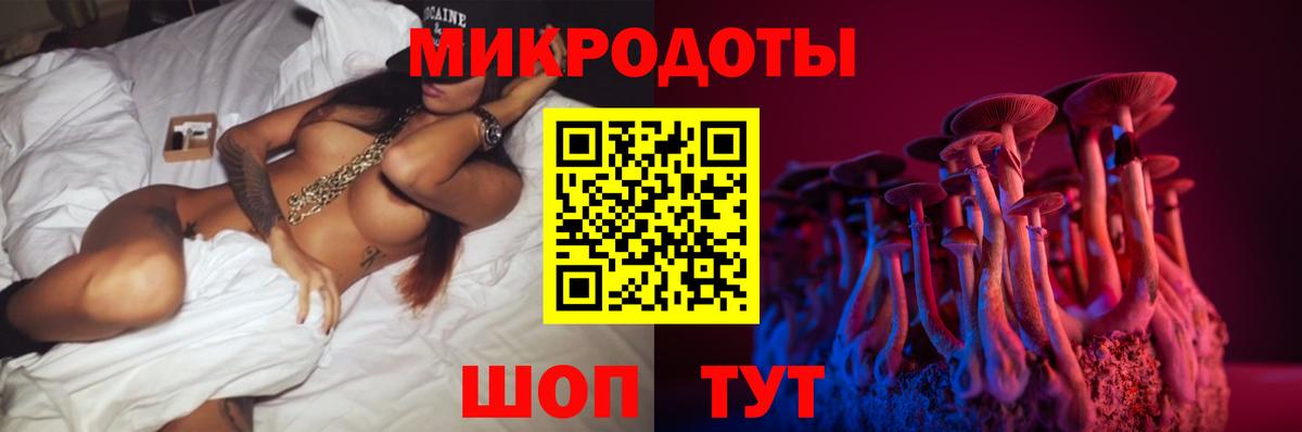 Копейск  Псилоцибиновые грибы Psilocybine cubensis  Вход с VPN 